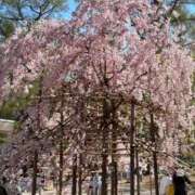 ヒメ日記 2026/04/04 12:50 投稿 りら ビデオdeはんど すすきの校