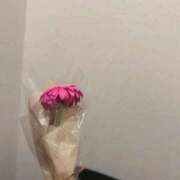 ヒメ日記 2026/04/05 15:20 投稿 りら ビデオdeはんど すすきの校