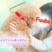 ヒメ日記 2025/05/28 16:19 投稿 ♡フウカ♡ ラブ♡エル霧島店