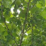 ヒメ日記 2025/06/17 12:24 投稿 ♡フウカ♡ ラブ♡エル霧島店