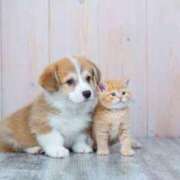 ヒメ日記 2025/11/01 12:15 投稿 ♡フウカ♡ ラブ♡エル霧島店