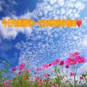 ヒメ日記 2025/11/11 07:31 投稿 ♡フウカ♡ ラブ♡エル霧島店