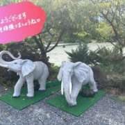 ヒメ日記 2025/11/20 07:28 投稿 ♡フウカ♡ ラブ♡エル霧島店