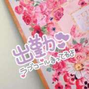 ヒメ日記 2025/04/07 09:41 投稿 ♡スミレ♡ ラブ♡エル霧島店