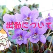 ヒメ日記 2025/04/19 21:00 投稿 ♡スミレ♡ ラブ♡エル霧島店