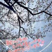 ヒメ日記 2025/04/20 21:30 投稿 ♡スミレ♡ ラブ♡エル霧島店