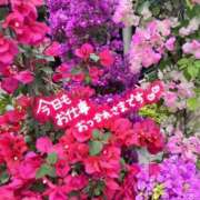 ヒメ日記 2025/05/18 01:02 投稿 ♡スミレ♡ ラブ♡エル霧島店