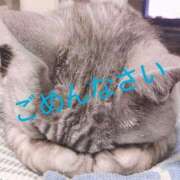 ヒメ日記 2025/09/29 19:52 投稿 ♡スミレ♡ ラブ♡エル霧島店