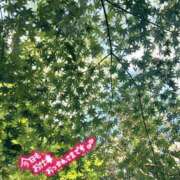 ヒメ日記 2025/11/18 22:33 投稿 ♡スミレ♡ ラブ♡エル霧島店