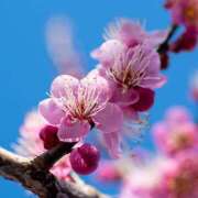 ヒメ日記 2026/02/23 20:42 投稿 ♡スミレ♡ ラブ♡エル霧島店