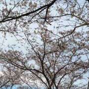 ヒメ日記 2026/03/27 15:28 投稿 ♡スミレ♡ ラブ♡エル霧島店