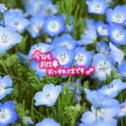 ヒメ日記 2026/04/03 22:09 投稿 ♡スミレ♡ ラブ♡エル霧島店