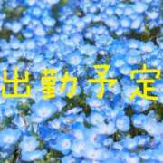 ヒメ日記 2026/04/24 22:00 投稿 ♡スミレ♡ ラブ♡エル霧島店