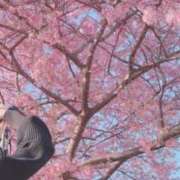 ♡ラテ♡ ♡明日♡ ラブ♡エル霧島店