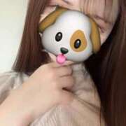 ヒメ日記 2025/06/14 10:54 投稿 夢（ゆめ） NOA（ノア）