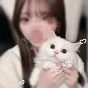 ヒメ日記 2026/03/18 13:24 投稿 夢（ゆめ） NOA（ノア）