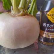 ヒメ日記 2025/02/14 14:32 投稿 ななこ 福岡大野城・板付インターちゃんこ