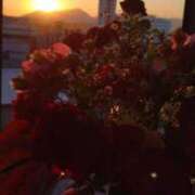 ヒメ日記 2025/04/29 06:08 投稿 ななこ 福岡大野城・板付インターちゃんこ