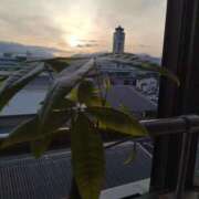 ヒメ日記 2025/05/07 10:38 投稿 ななこ 福岡大野城・板付インターちゃんこ