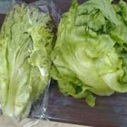 ヒメ日記 2025/05/27 17:28 投稿 ななこ 福岡大野城・板付インターちゃんこ