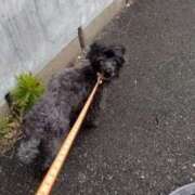 ヒメ日記 2025/05/29 08:08 投稿 ななこ 福岡大野城・板付インターちゃんこ