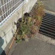 ヒメ日記 2025/06/01 07:28 投稿 ななこ 福岡大野城・板付インターちゃんこ