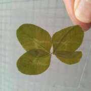 ななこ こんにちは? 福岡大野城・板付インターちゃんこ