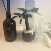 ヒメ日記 2025/08/23 11:35 投稿 せな One More 奥様 鶯谷店