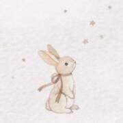 ヒメ日記 2025/02/24 11:17 投稿 まどか ぷるりんクエスト上野浅草鶯谷秋葉原デリヘル王国