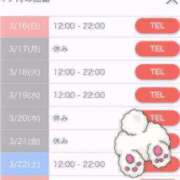 ヒメ日記 2025/03/17 10:30 投稿 まどか ぷるりんクエスト上野浅草鶯谷秋葉原デリヘル王国