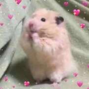 ヒメ日記 2025/11/18 23:02 投稿 まどか ぷるりんクエスト上野浅草鶯谷秋葉原デリヘル王国