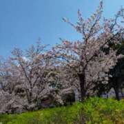 ヒメ日記 2025/04/07 12:20 投稿 みづき(昭和49年生まれ) 熟年カップル名古屋～生電話からの営み～