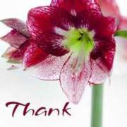 ヒメ日記 2025/05/07 13:19 投稿 みづき(昭和49年生まれ) 熟年カップル名古屋～生電話からの営み～