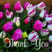 ヒメ日記 2025/05/11 17:15 投稿 みづき(昭和49年生まれ) 熟年カップル名古屋～生電話からの営み～