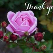 ヒメ日記 2025/05/26 19:28 投稿 みづき(昭和49年生まれ) 熟年カップル名古屋～生電話からの営み～