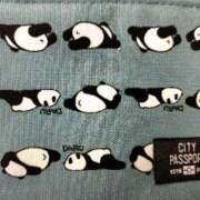 ヒメ日記 2025/05/27 12:26 投稿 みづき(昭和49年生まれ) 熟年カップル名古屋～生電話からの営み～