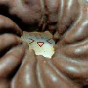 ヒメ日記 2025/06/03 10:01 投稿 みづき(昭和49年生まれ) 熟年カップル名古屋～生電話からの営み～