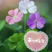 ヒメ日記 2025/06/04 14:15 投稿 みづき(昭和49年生まれ) 熟年カップル名古屋～生電話からの営み～