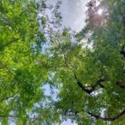 ヒメ日記 2025/06/06 10:17 投稿 みづき(昭和49年生まれ) 熟年カップル名古屋～生電話からの営み～