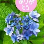 ヒメ日記 2025/06/06 16:52 投稿 みづき(昭和49年生まれ) 熟年カップル名古屋～生電話からの営み～