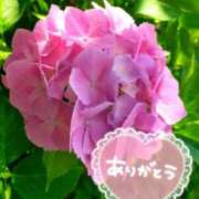 ヒメ日記 2025/06/07 15:34 投稿 みづき(昭和49年生まれ) 熟年カップル名古屋～生電話からの営み～