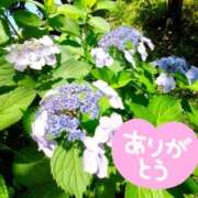 ヒメ日記 2025/06/07 18:12 投稿 みづき(昭和49年生まれ) 熟年カップル名古屋～生電話からの営み～