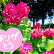 ヒメ日記 2025/06/08 22:12 投稿 みづき(昭和49年生まれ) 熟年カップル名古屋～生電話からの営み～