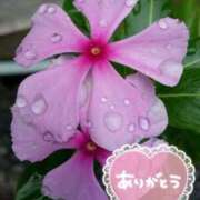 ヒメ日記 2025/06/11 12:49 投稿 みづき(昭和49年生まれ) 熟年カップル名古屋～生電話からの営み～