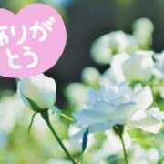 ヒメ日記 2025/06/12 12:57 投稿 みづき(昭和49年生まれ) 熟年カップル名古屋～生電話からの営み～