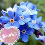 ヒメ日記 2025/06/12 19:49 投稿 みづき(昭和49年生まれ) 熟年カップル名古屋～生電話からの営み～