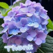 ヒメ日記 2025/06/13 12:18 投稿 みづき(昭和49年生まれ) 熟年カップル名古屋～生電話からの営み～