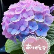 ヒメ日記 2025/06/13 15:58 投稿 みづき(昭和49年生まれ) 熟年カップル名古屋～生電話からの営み～