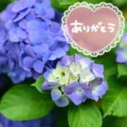 ヒメ日記 2025/06/14 17:03 投稿 みづき(昭和49年生まれ) 熟年カップル名古屋～生電話からの営み～