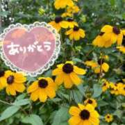 ヒメ日記 2025/06/15 14:33 投稿 みづき(昭和49年生まれ) 熟年カップル名古屋～生電話からの営み～